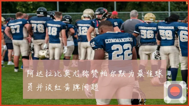 阿达拉比奥尤称赞帕尔默为最佳球员并谈红黄牌问题
