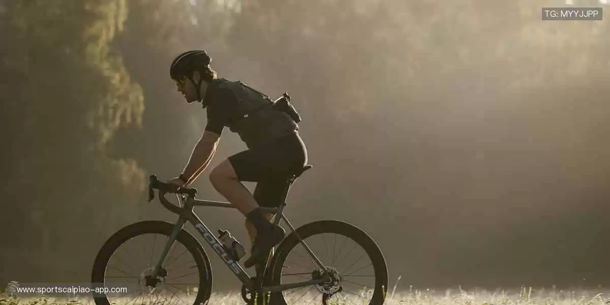 🚀 突破极限,超越自我,官网与你共赴体育新征程!