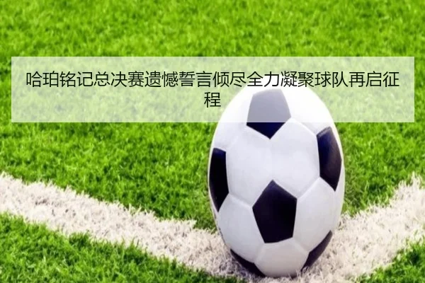 哈珀铭记总决赛遗憾誓言倾尽全力凝聚球队再启征程（dafabet）